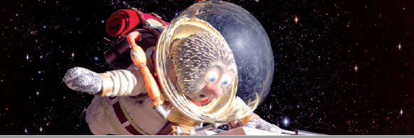 Capture d’écran 2019-09-28 à 17.34.26