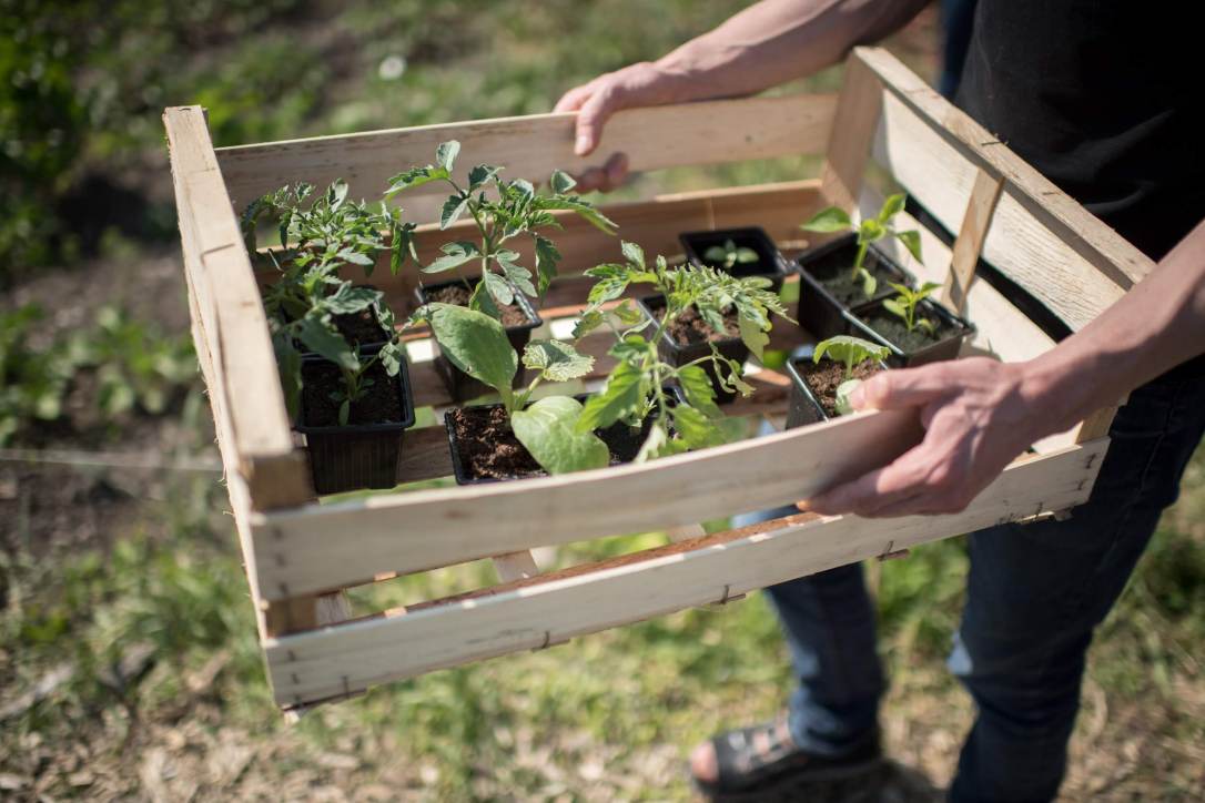 2018-05-20_jardin_371 copie